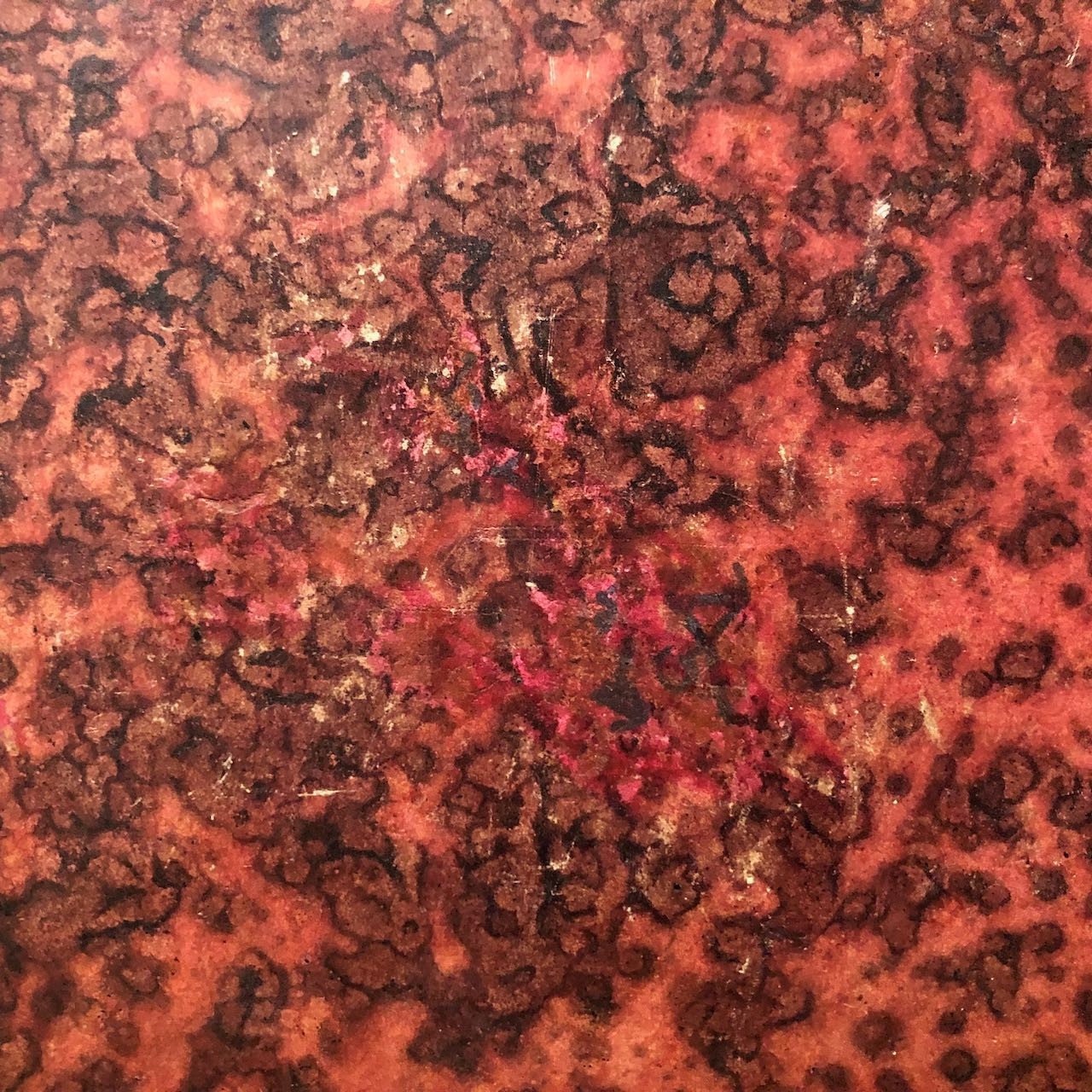 45882015