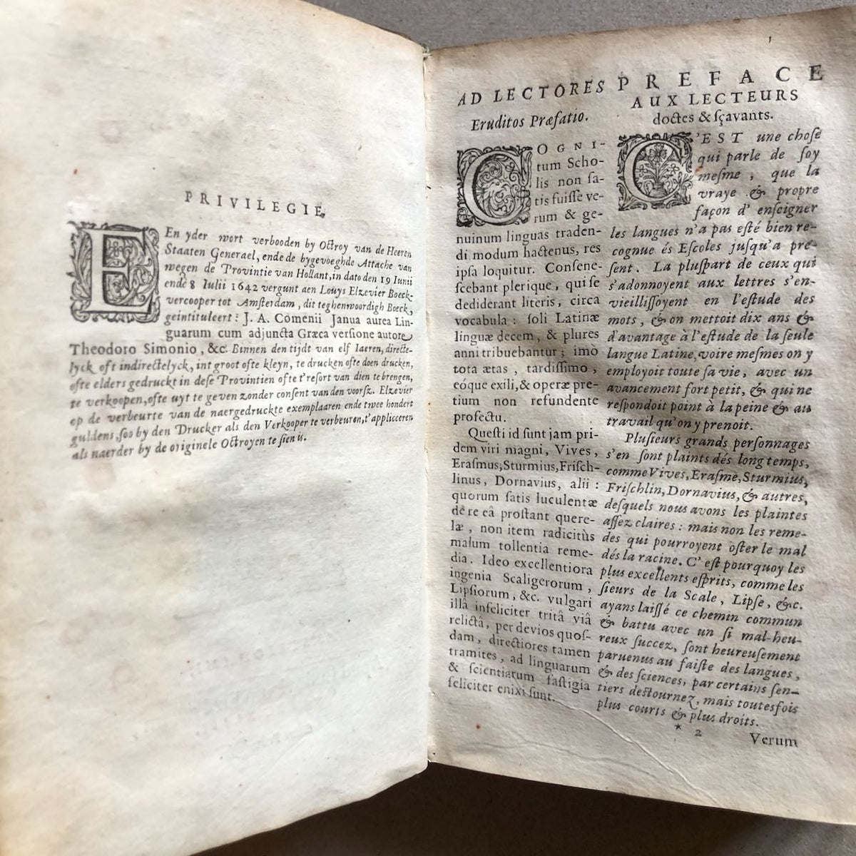 47908389