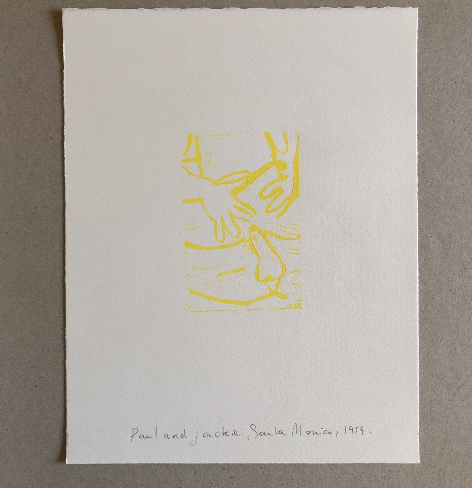 45501255