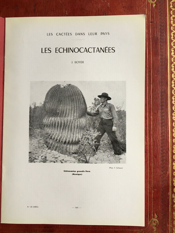 Cactus — revue trimestrielle — N°s 43 à 53 & 72 & 75 à 88 — soit 24 N°s —1955-61