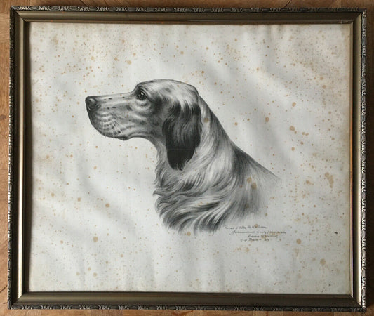 PORTRAIT OF DOG (ALTO DE MELISSA) - LITHOGRAPH COUNTERSIGNED &amp; DATED 1933.