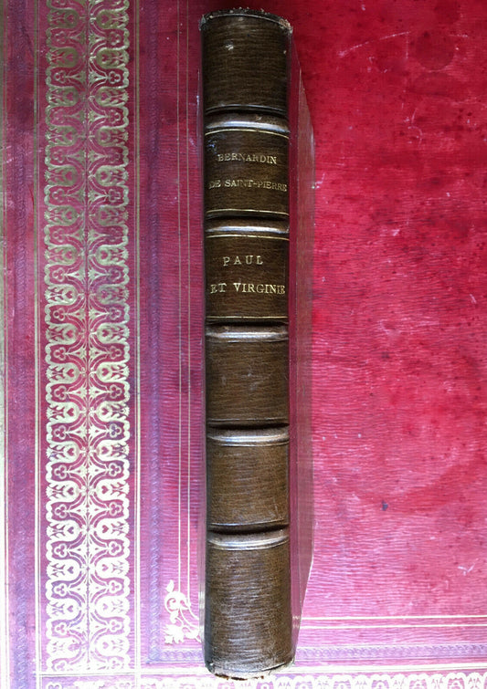 Bernardin de Saint-Pierre — Paul & Virginie — ill. Fr. Régamey — Quantin — 1878.