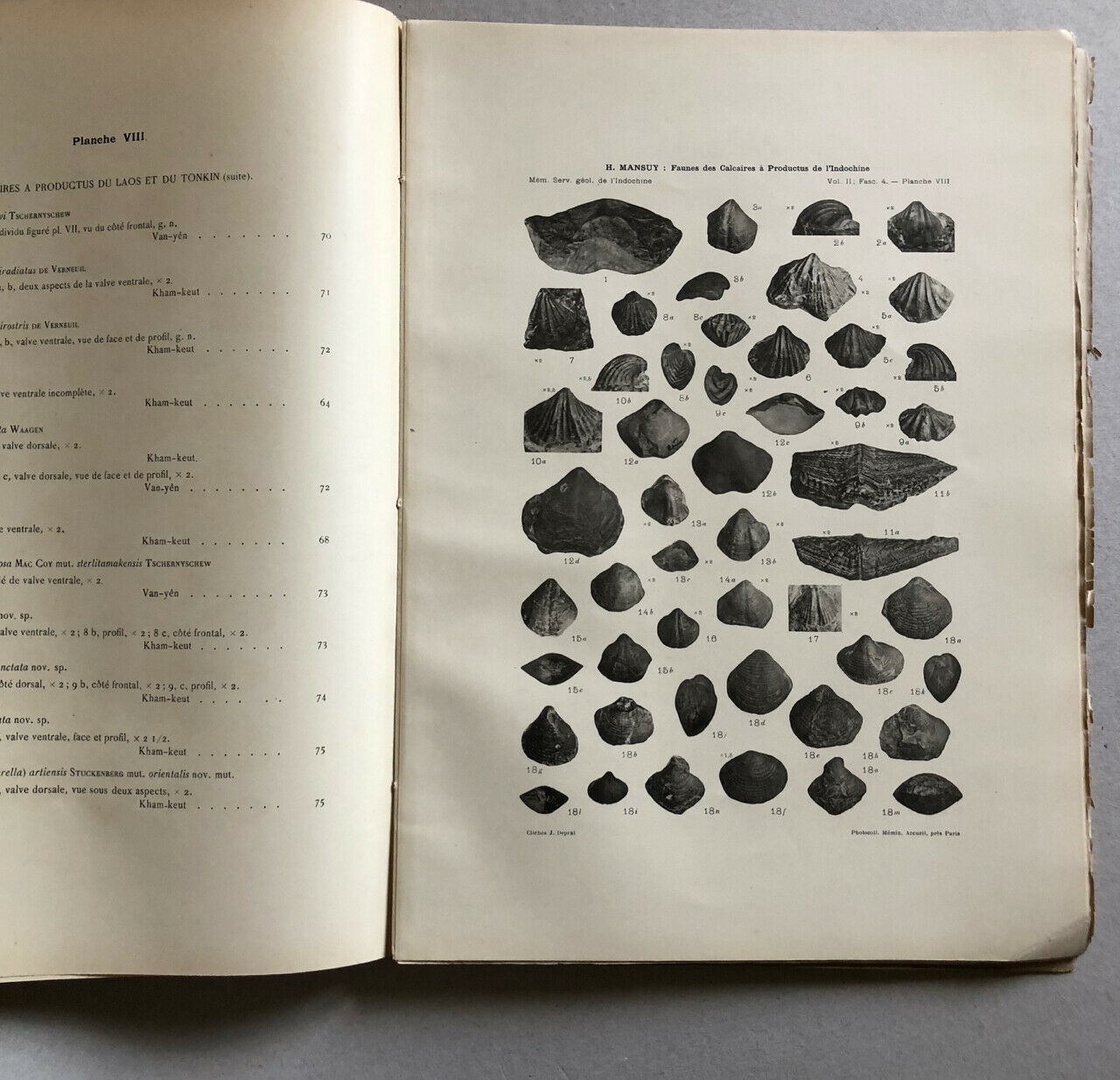 Henri Mansuy - Faunes des limestones à productus de l'Indochine - Hanoï - 1913.