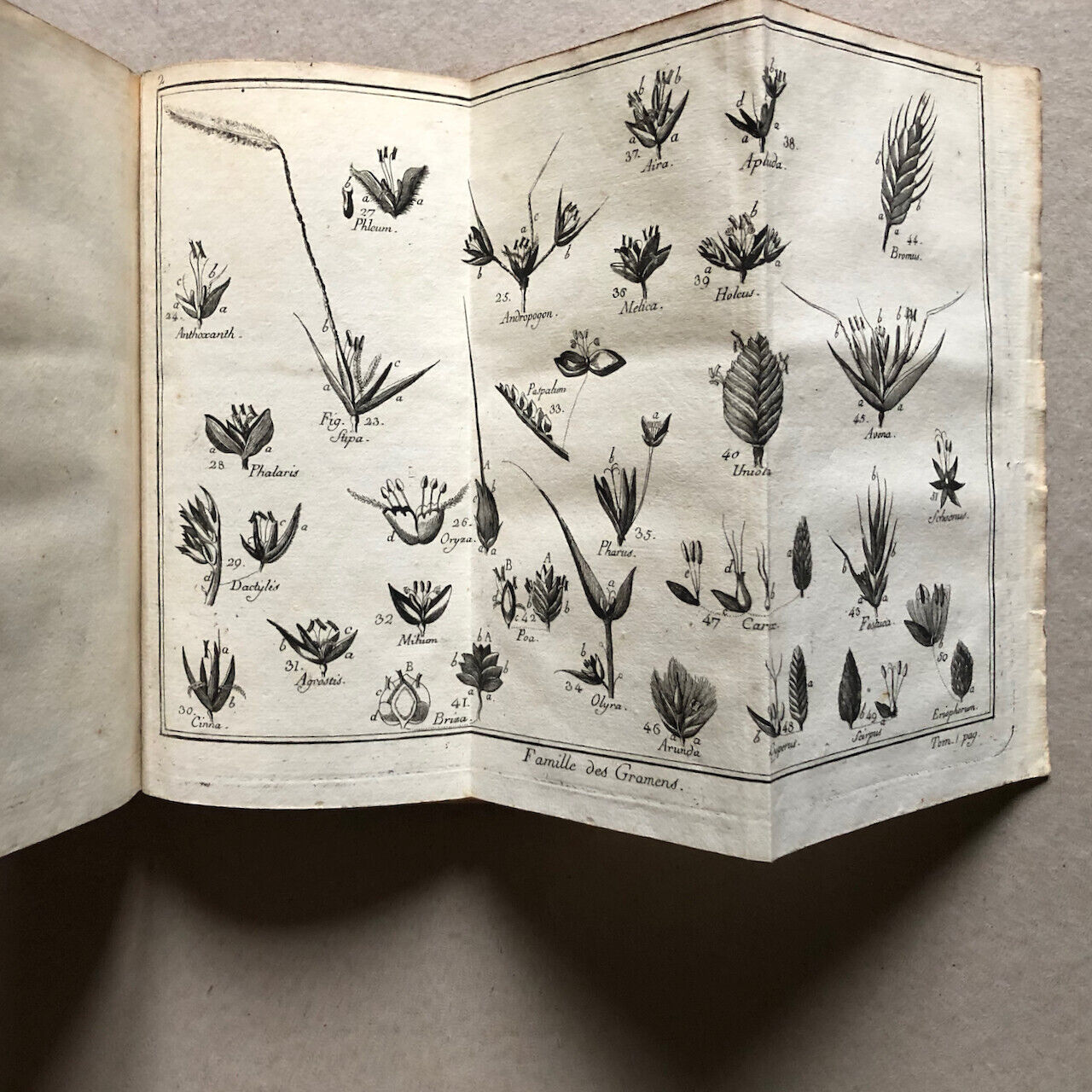 Abbé Rozier — Démonstrations élémentaires de botanique — 3 vol. — Bruyset — 1787