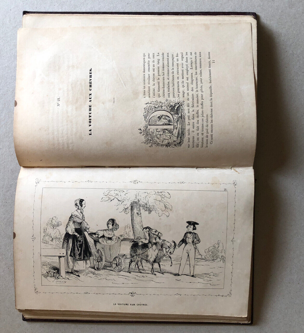 Abbé Laurence de Savigny — Le Bonheur des enfants — 39 litho. h.t. — Aubert 1858