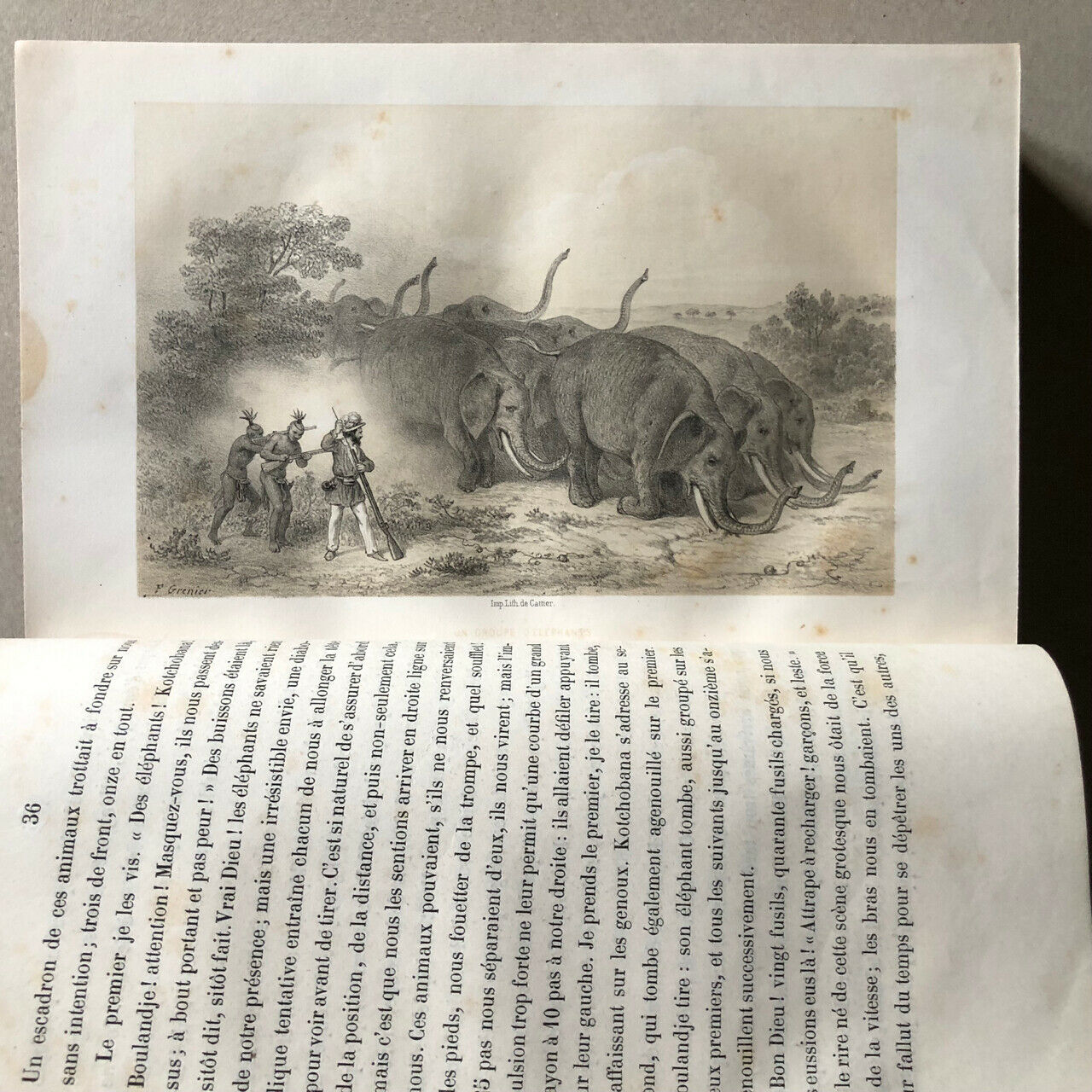 Adulphe Delegorgue — Journey to Southern Africa — e.o. — A. René — 1847.