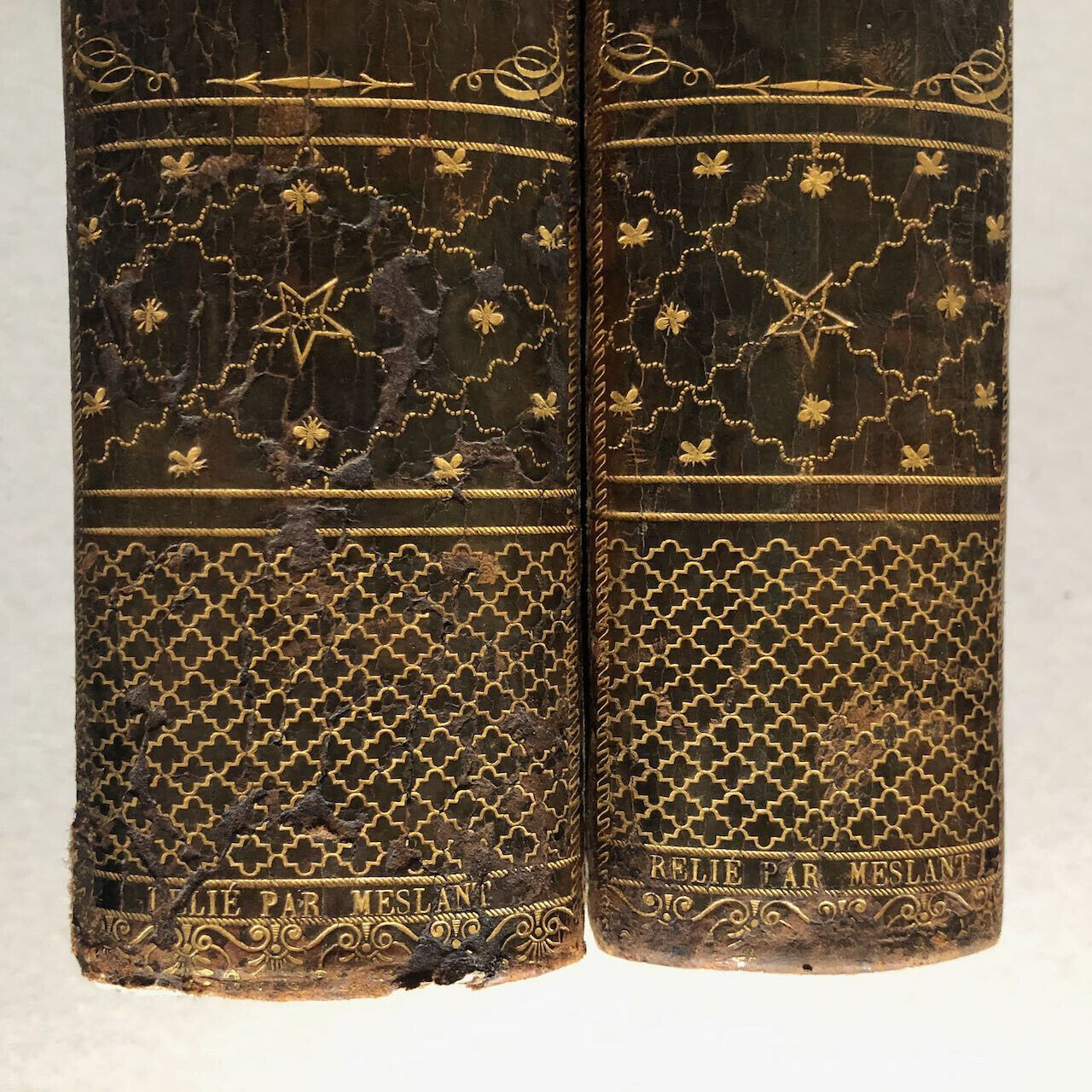 Labaume (trad.), Cuvier, Lamarck — Recherches asiatiques - Bengale — é.o. — 1805
