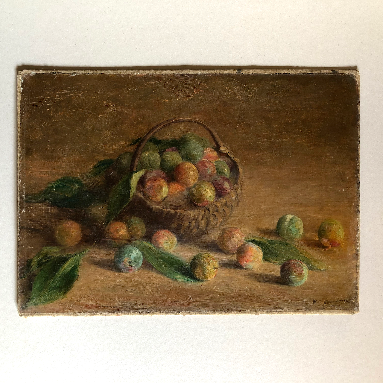 Maurice Vergeaud — nature morte aux prunes — huile/toile signée en bas à droite.