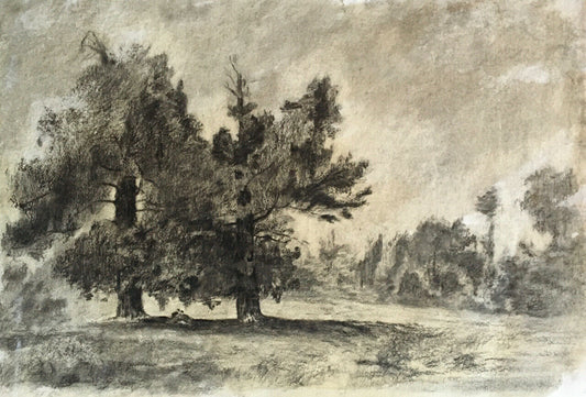 Animated forest landscape — charcoal drawing on Sennelier laid paper — 48x31 cm